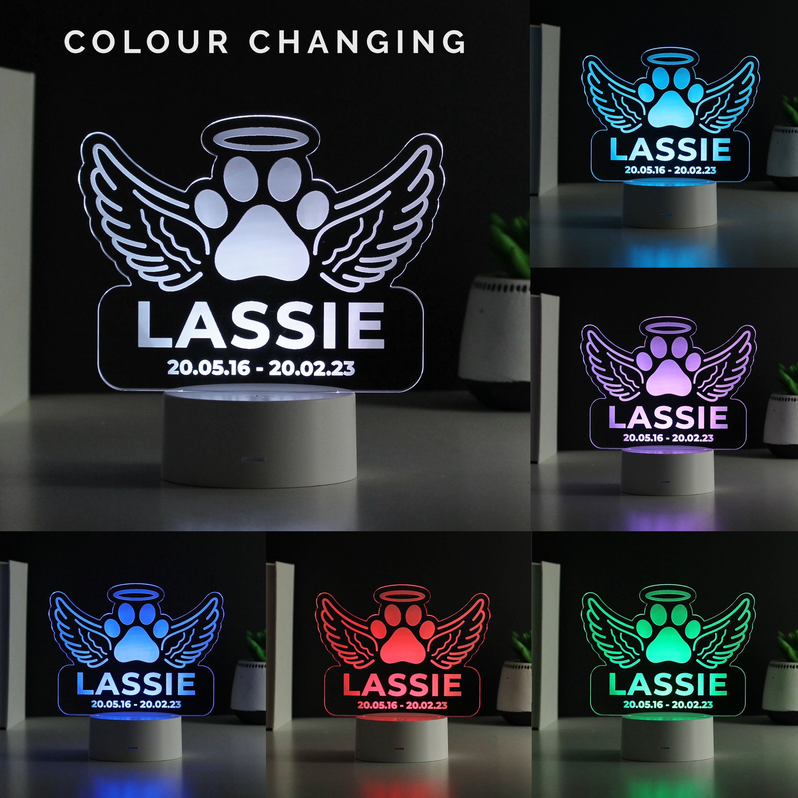 Personalised Pet Memorial Colour Changing LED Light - gift & personalise