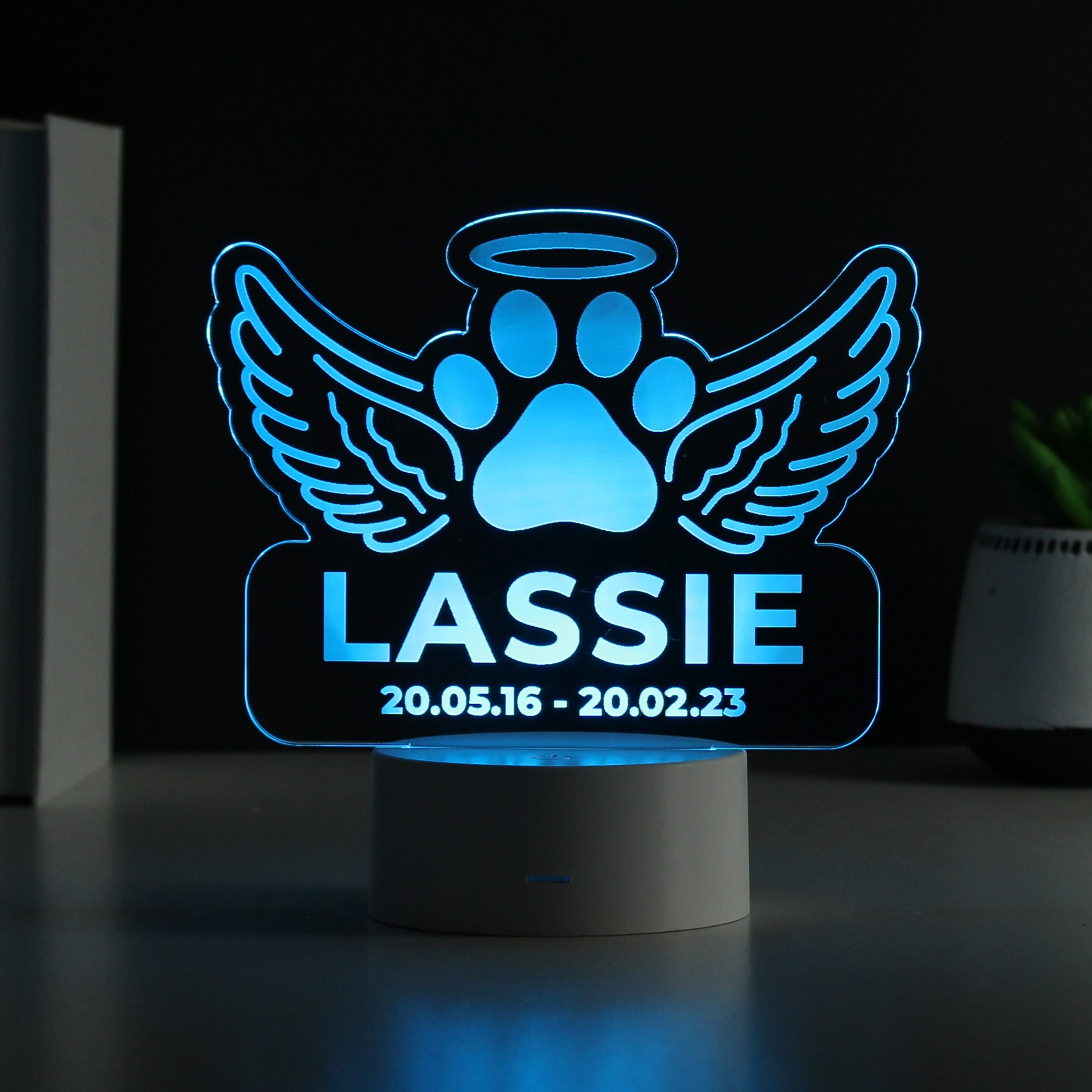 Personalised Pet Memorial Colour Changing LED Light - gift & personalise