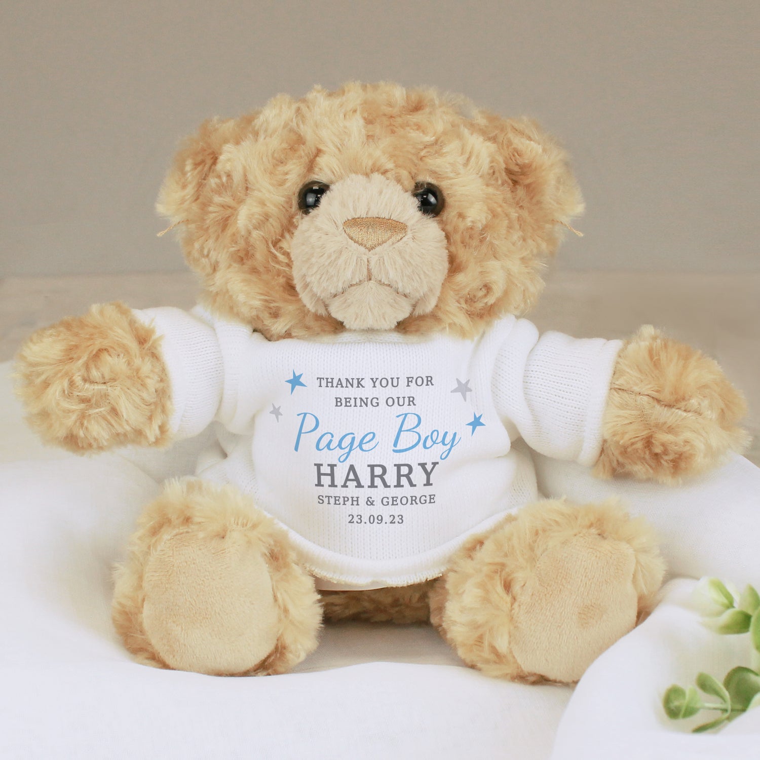 Personalised Boys Free Text Teddy Bear - gift & personalise