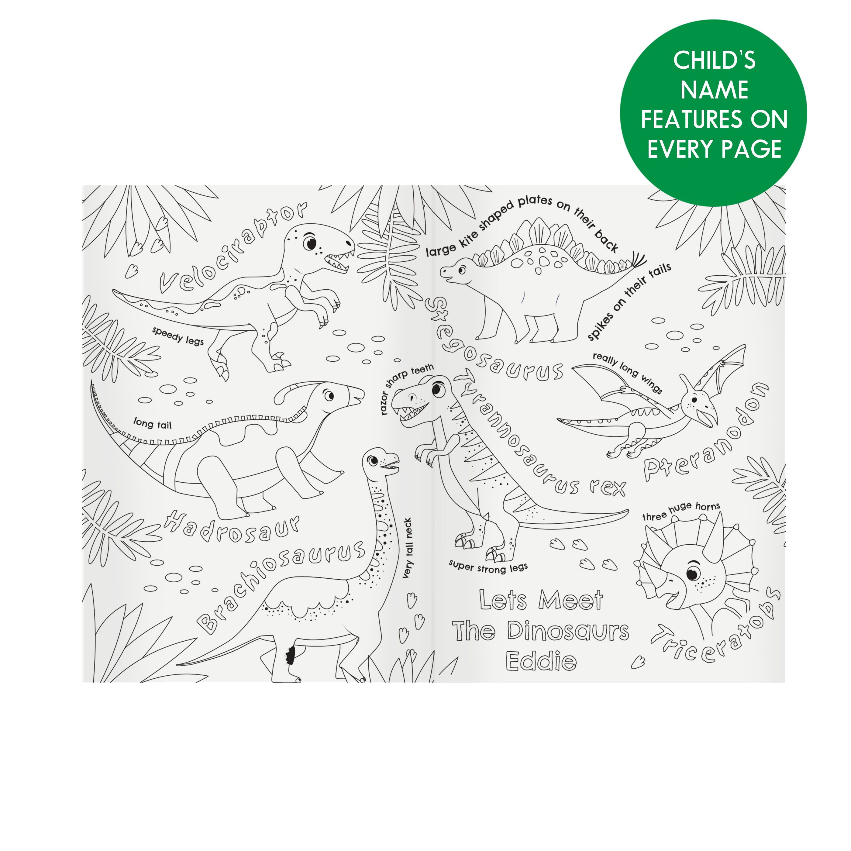 Personalised Dinosaur Colouring Book - gift & personalise