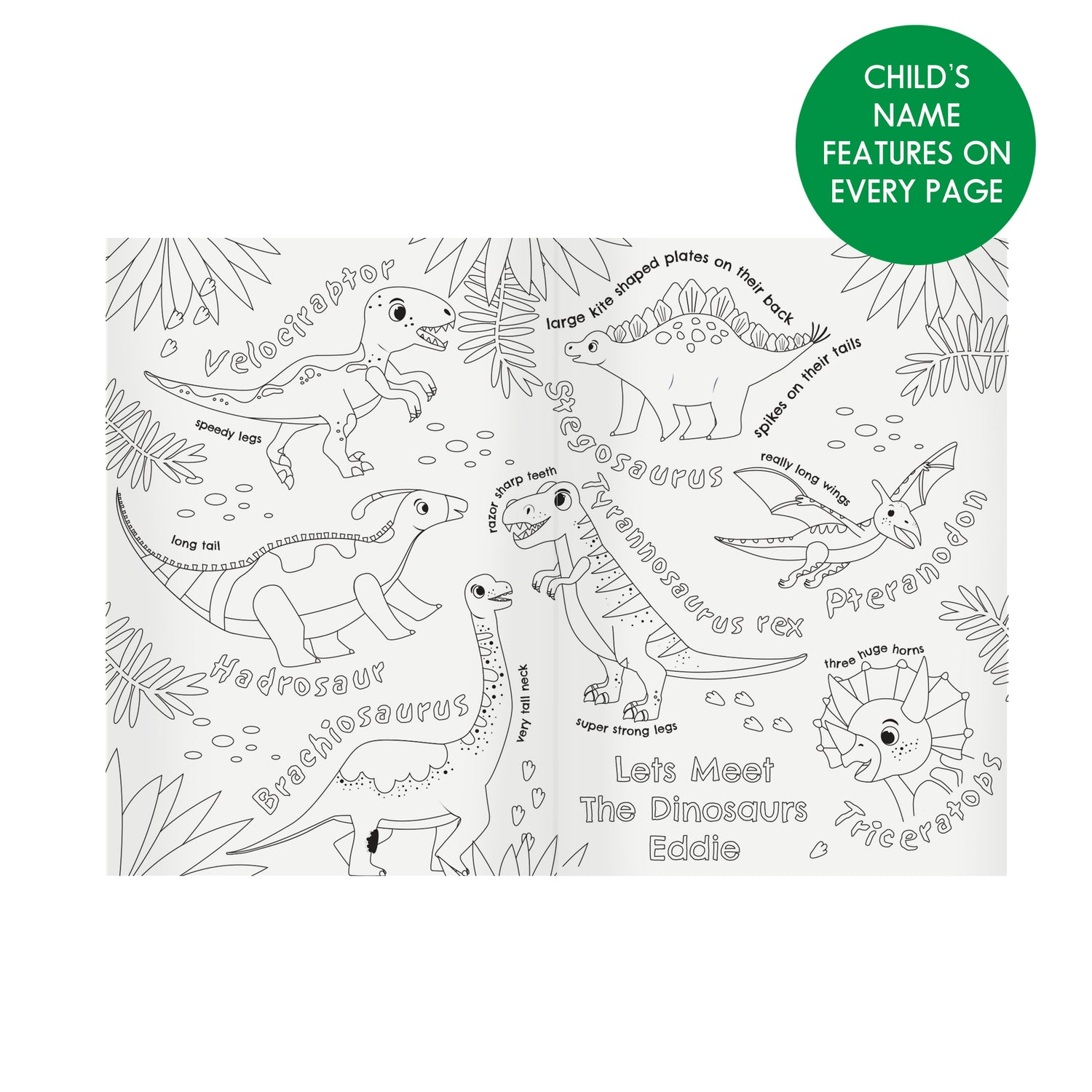 Personalised Dinosaur Colouring Book - gift & personalise