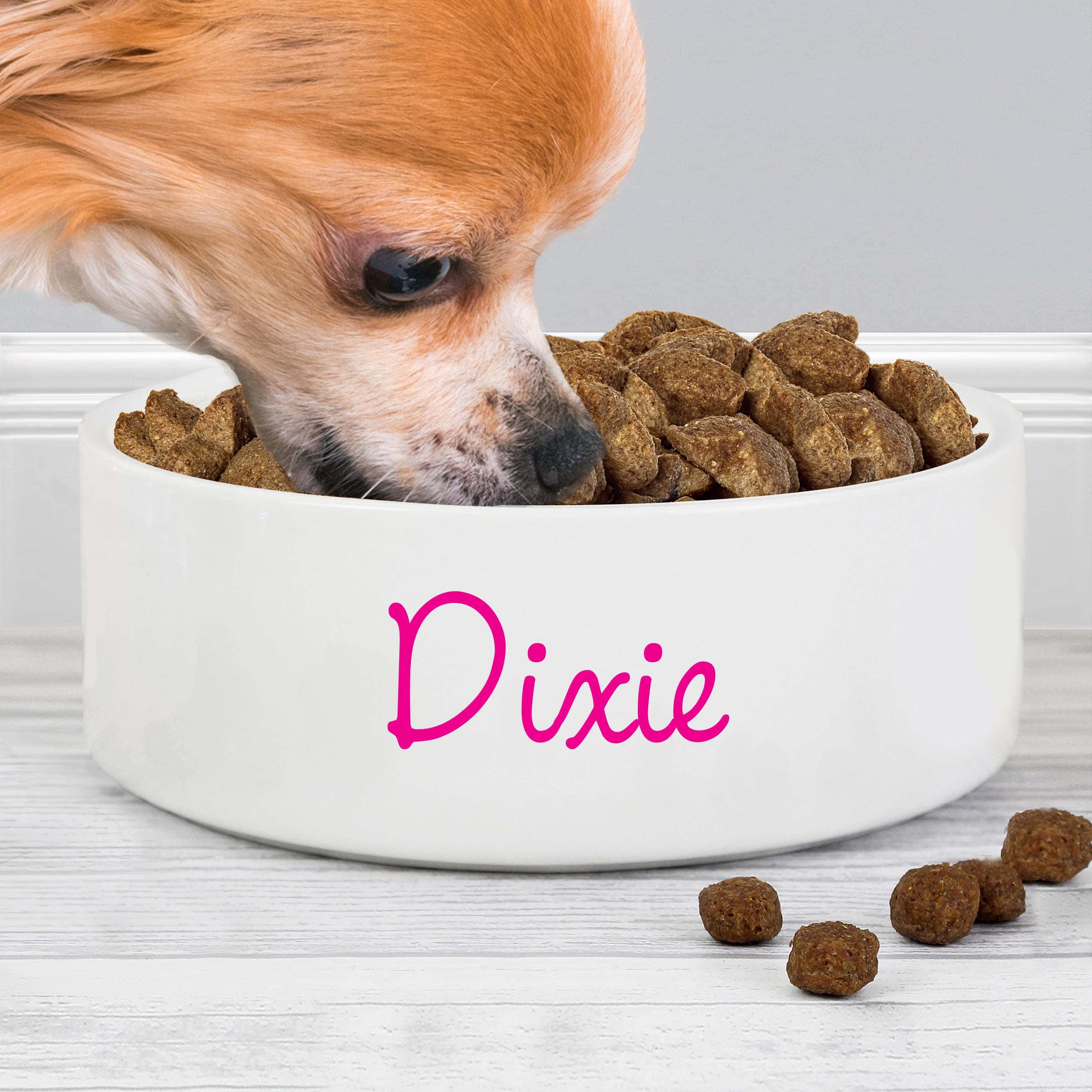 Personalised Pink Name 14cm Medium Pet Bowl - gift & personalise