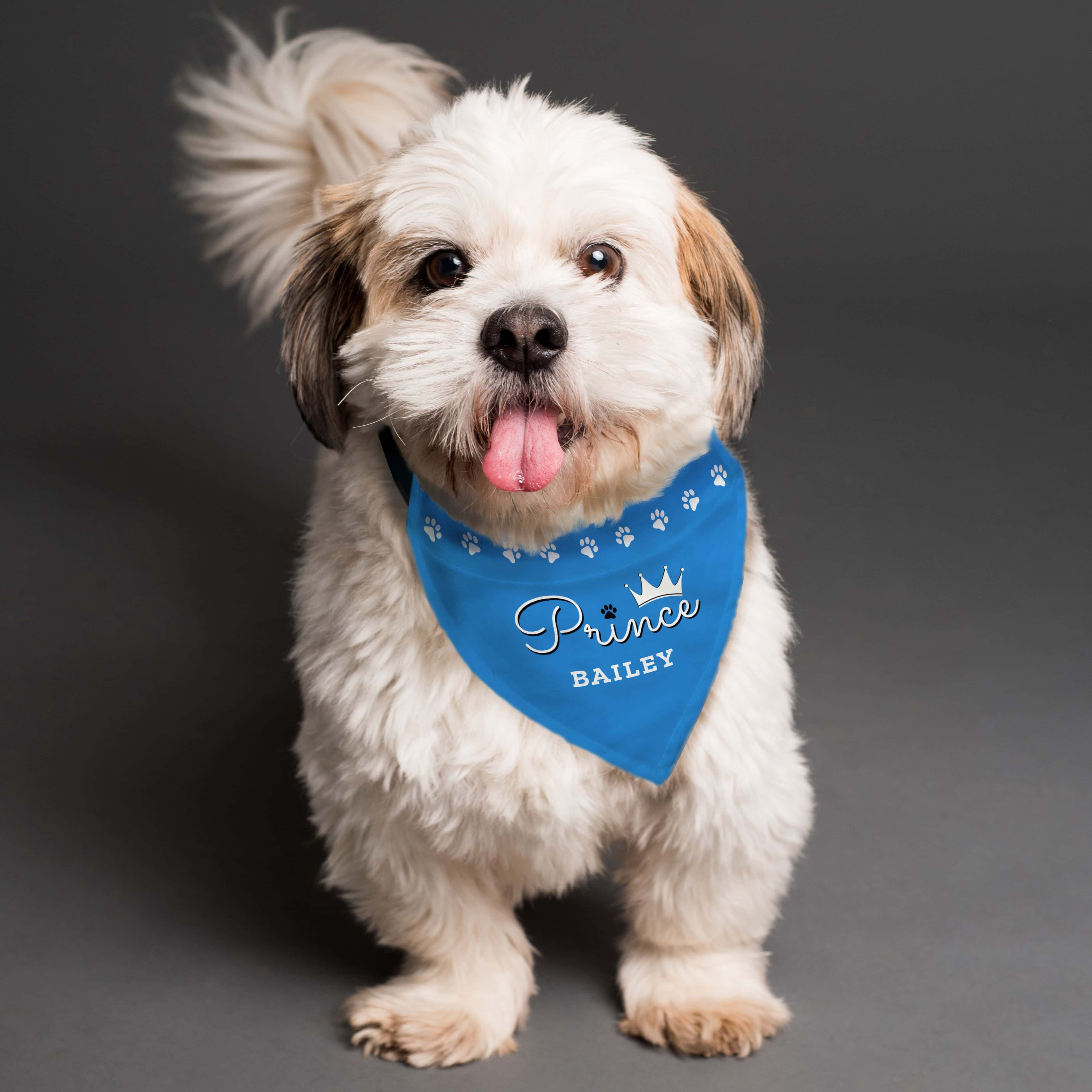 Personalised Prince Dog Bandana - gift & personalise