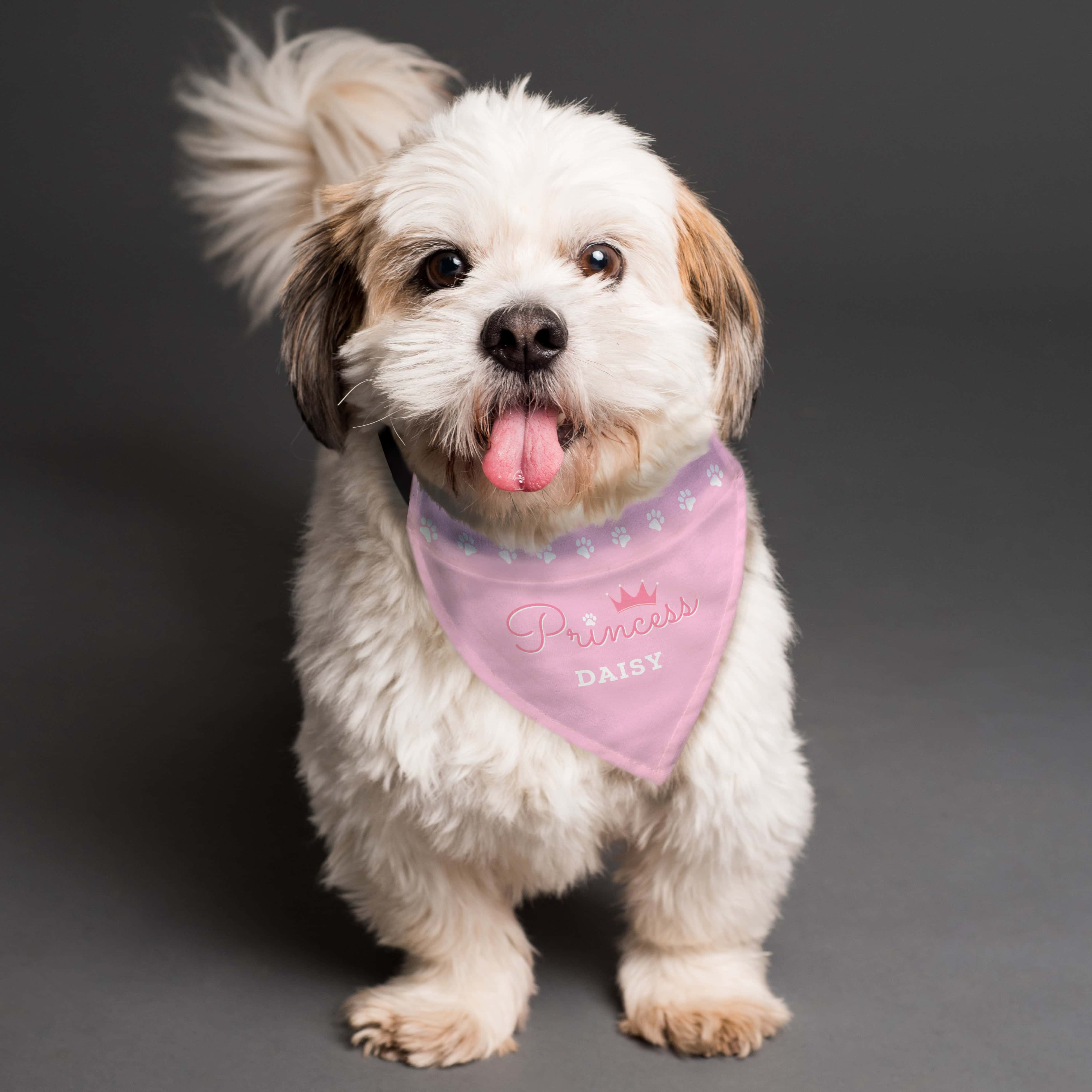 Personalised Princess Dog Bandana - gift & personalise