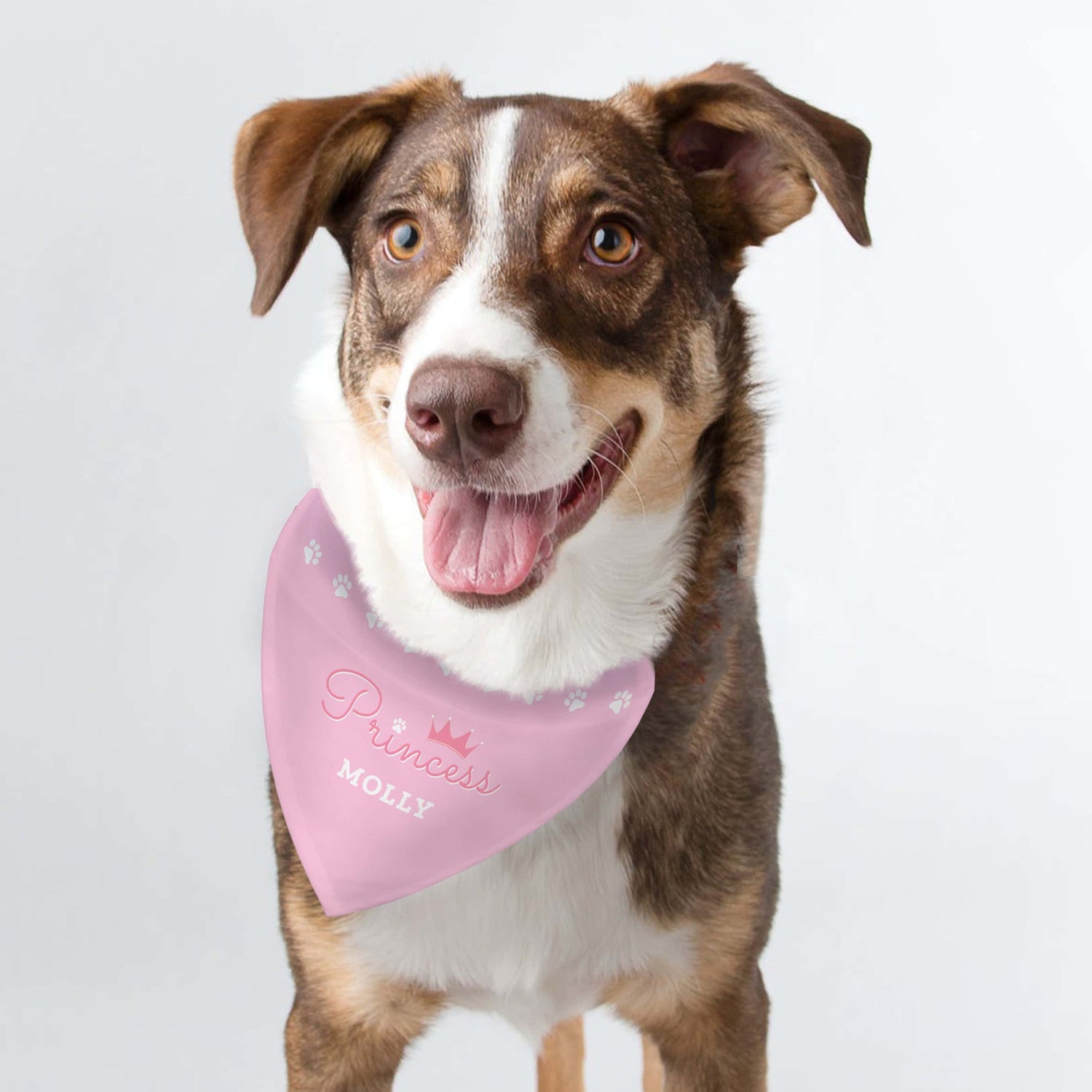 Personalised Princess Dog Bandana - gift & personalise