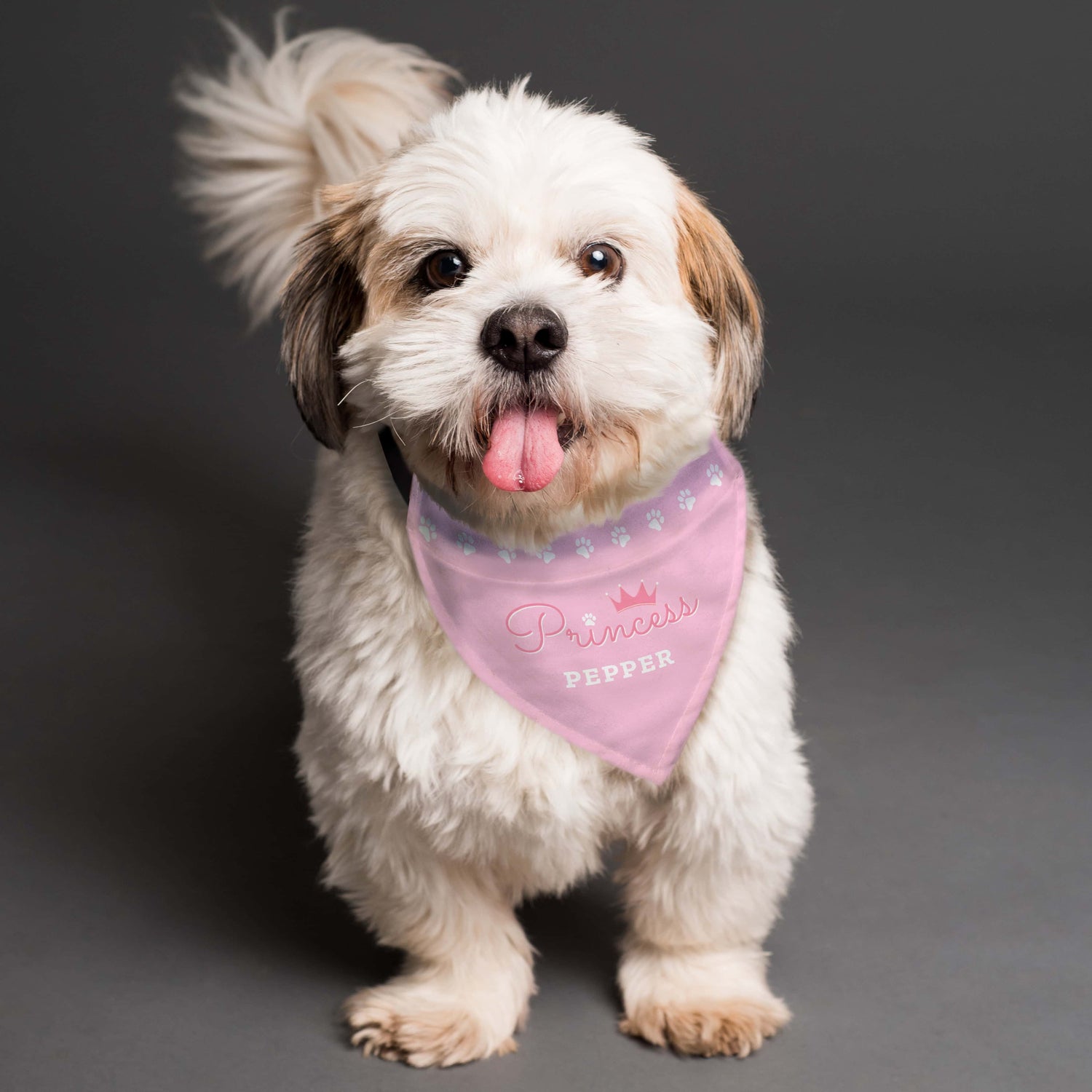 Personalised Princess Dog Bandana - gift & personalise