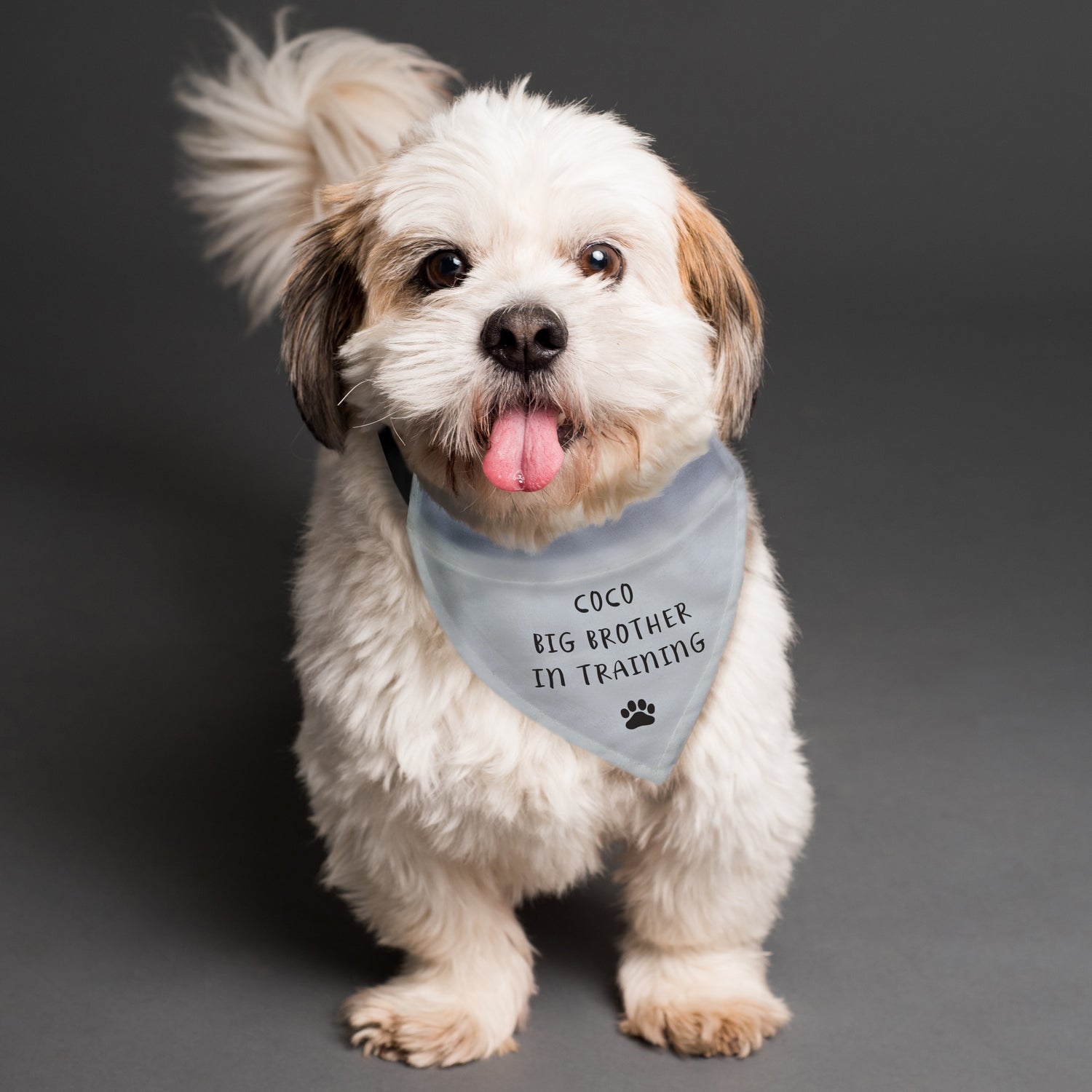 Personalised Dog Bandana - gift & personalise