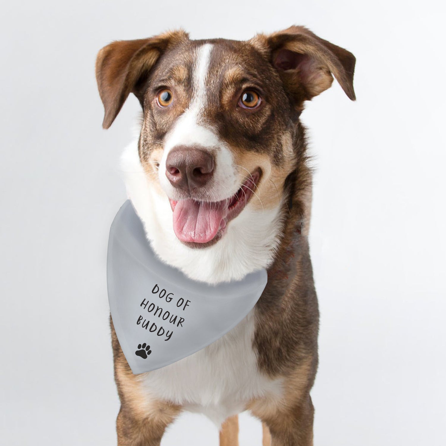 Personalised Dog Bandana - gift & personalise