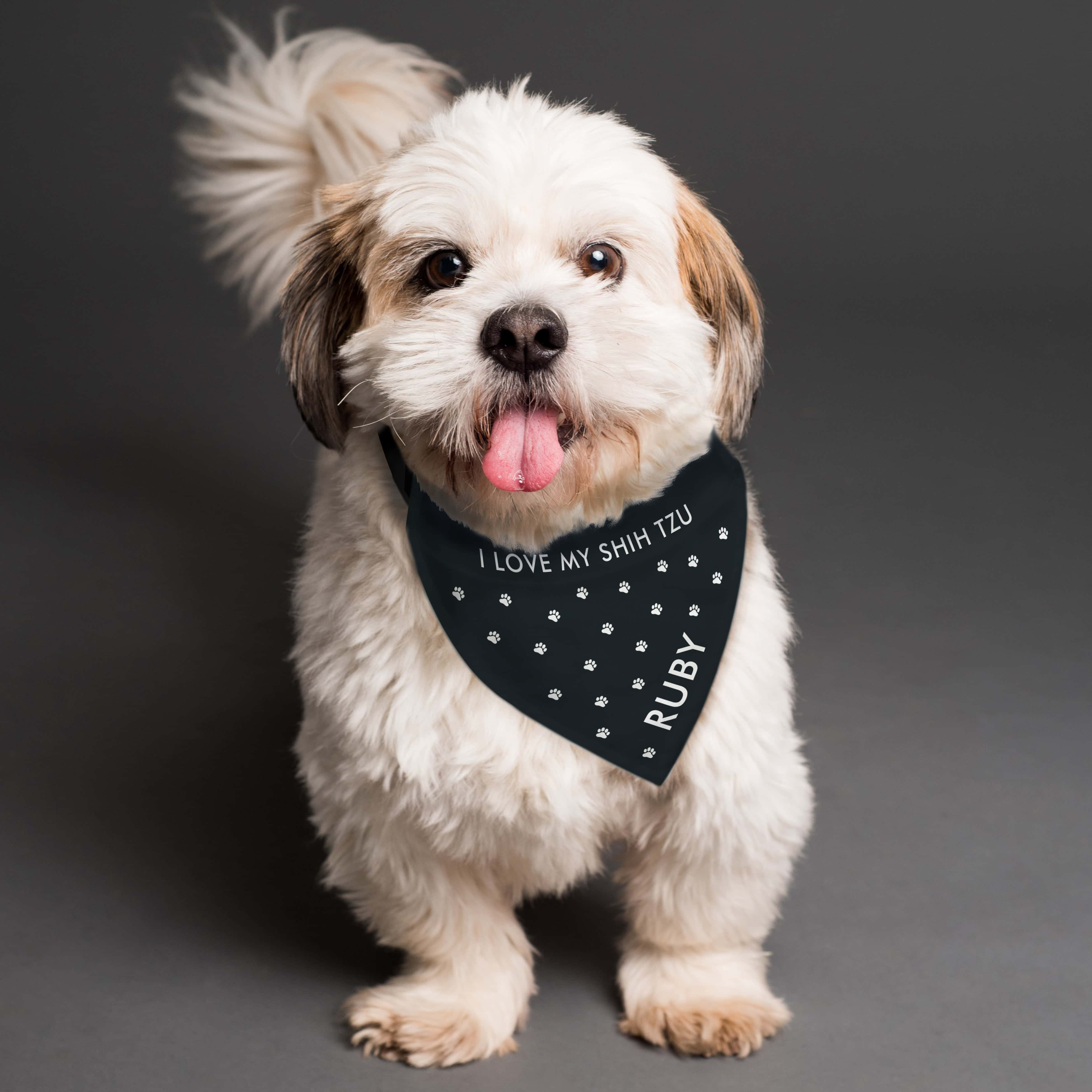 Personalised Paw Print Dog Bandana - gift & personalise