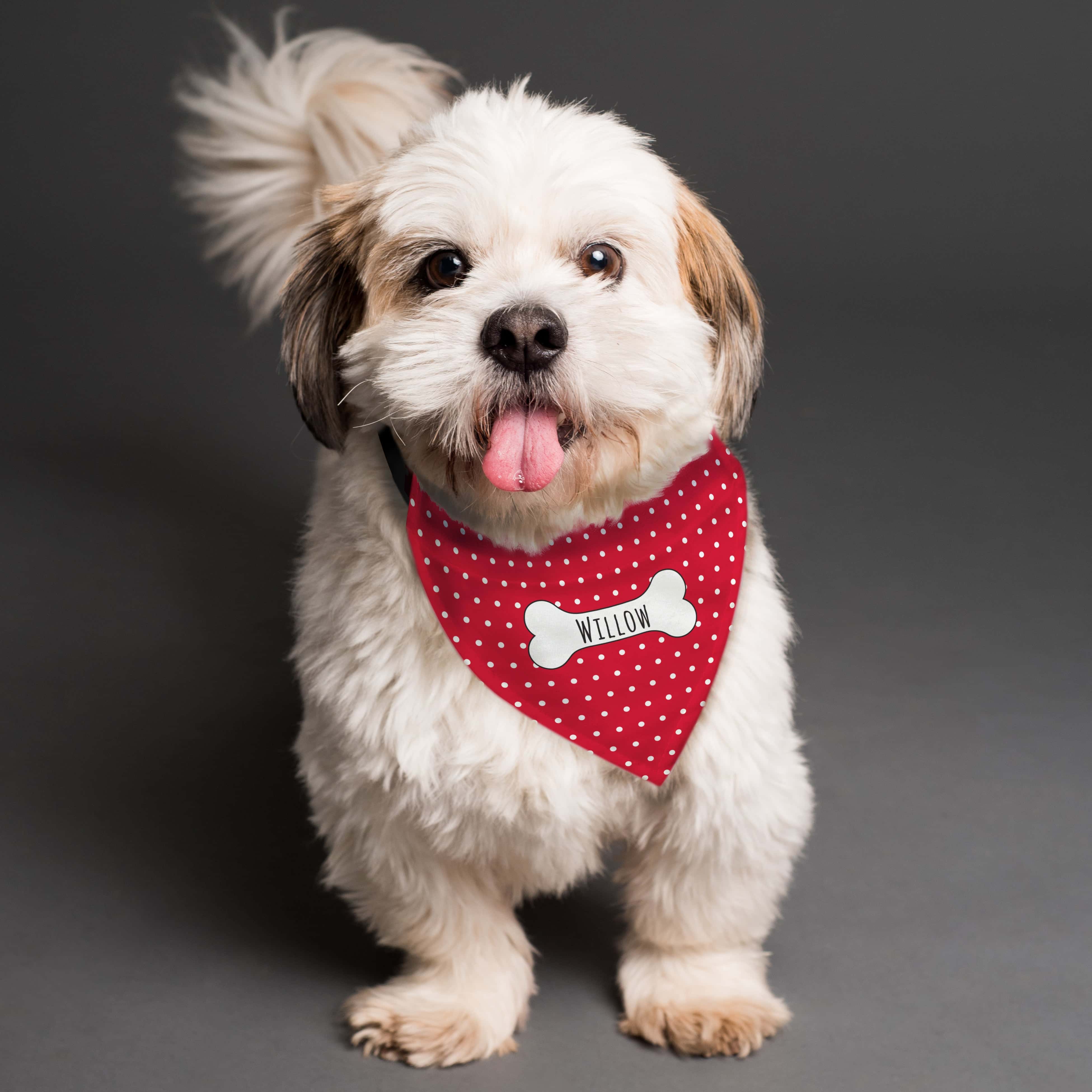 Personalised Red Polka Dot Dog Bandana - gift & personalise