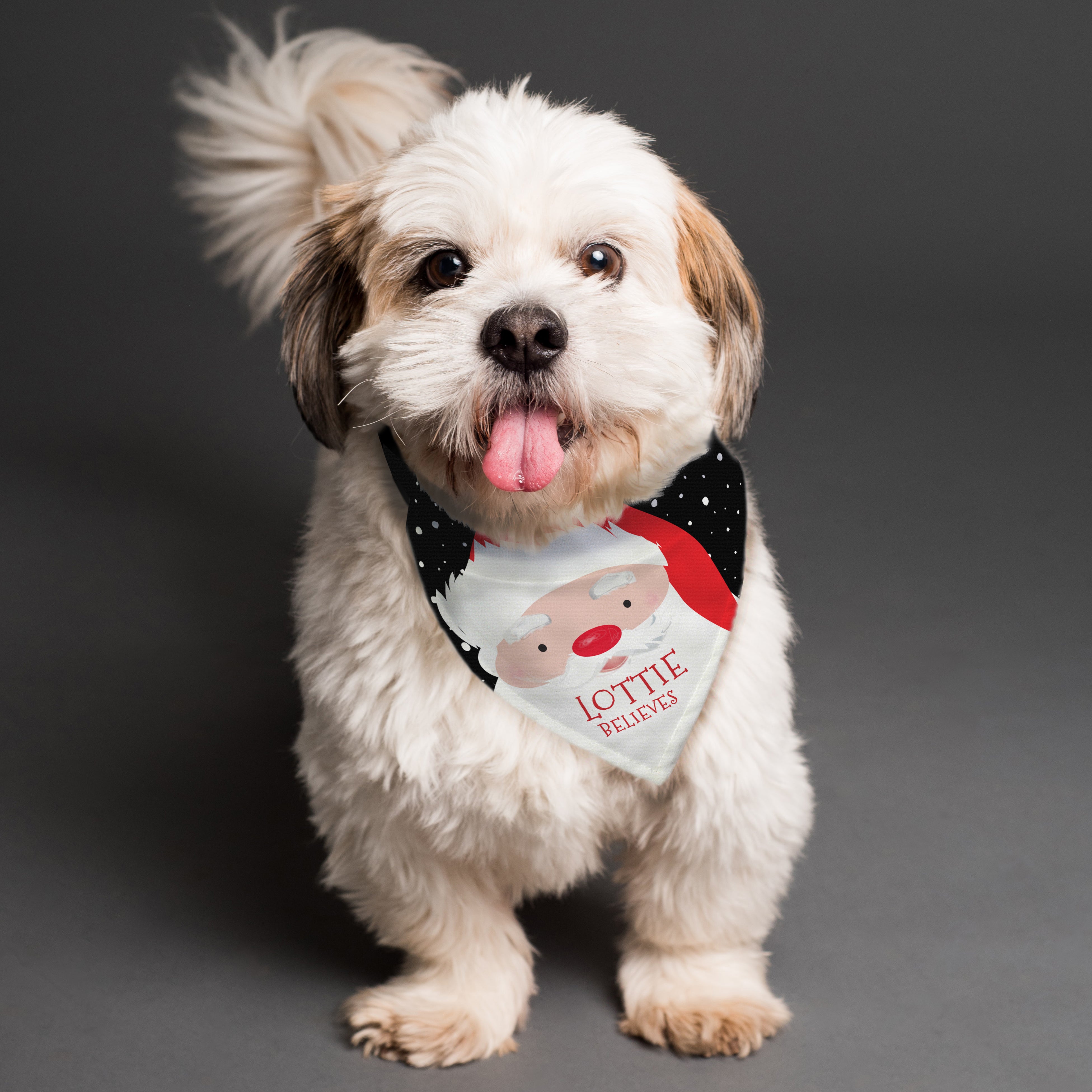Personalised Santa Dog Bandana - gift & personalise