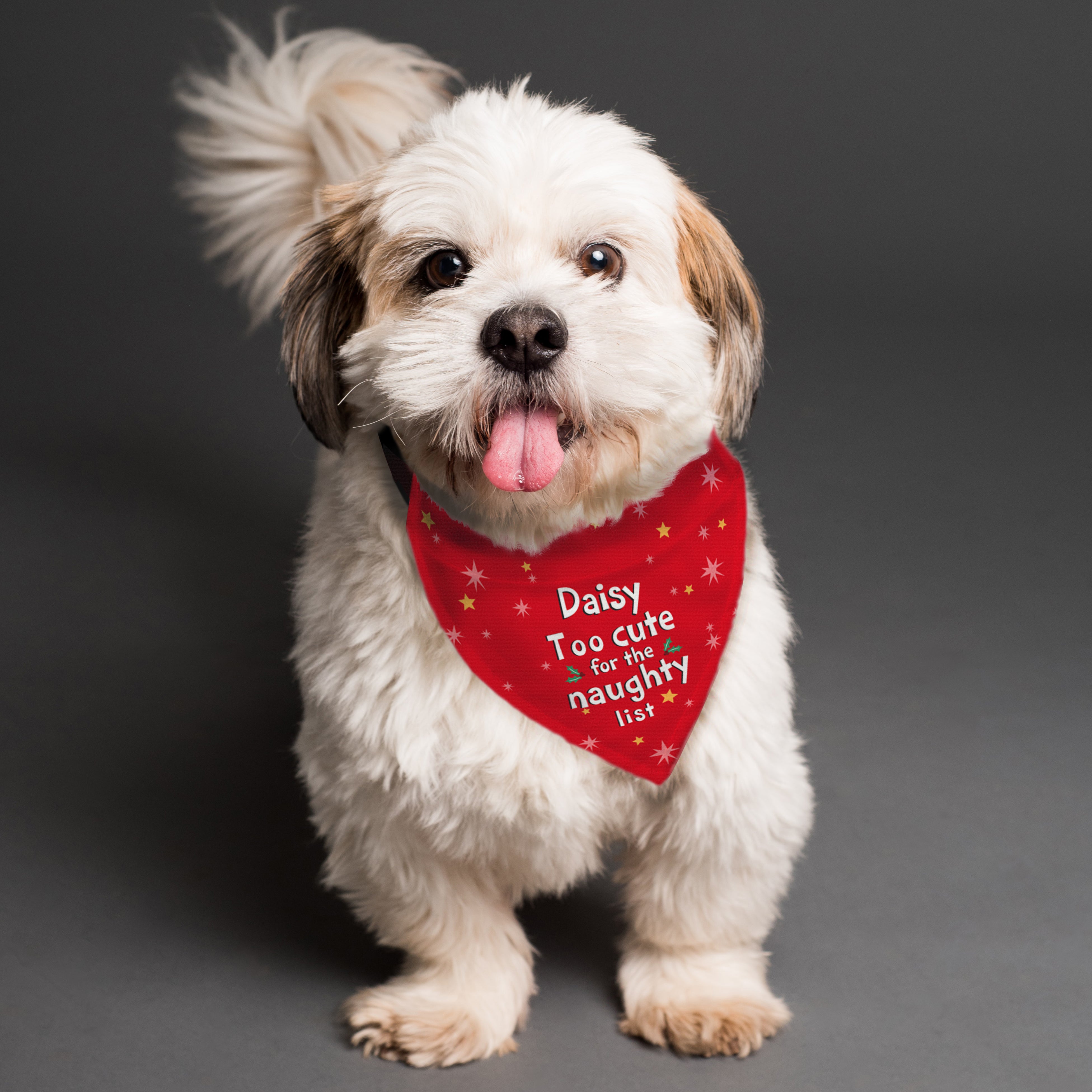 Personalised 'Too cute for the naughty list' Dog Bandana - gift & personalise