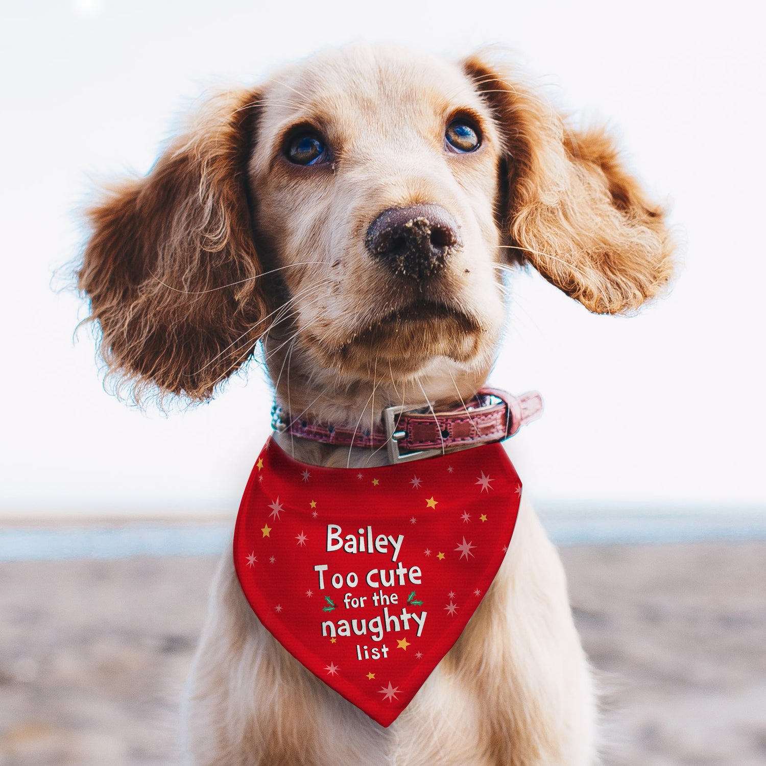 Personalised 'Too cute for the naughty list' Dog Bandana - gift & personalise