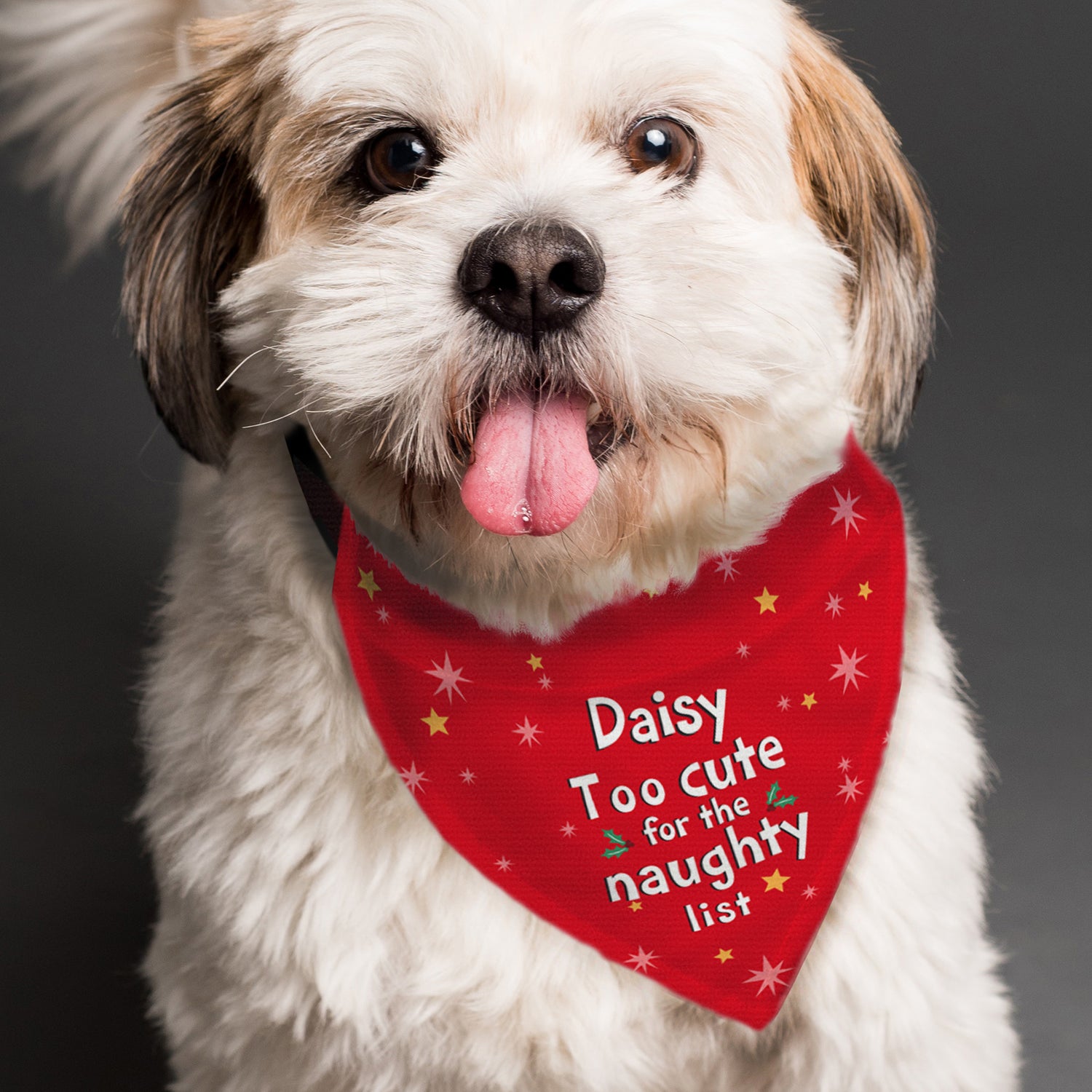 Personalised 'Too cute for the naughty list' Dog Bandana - gift & personalise