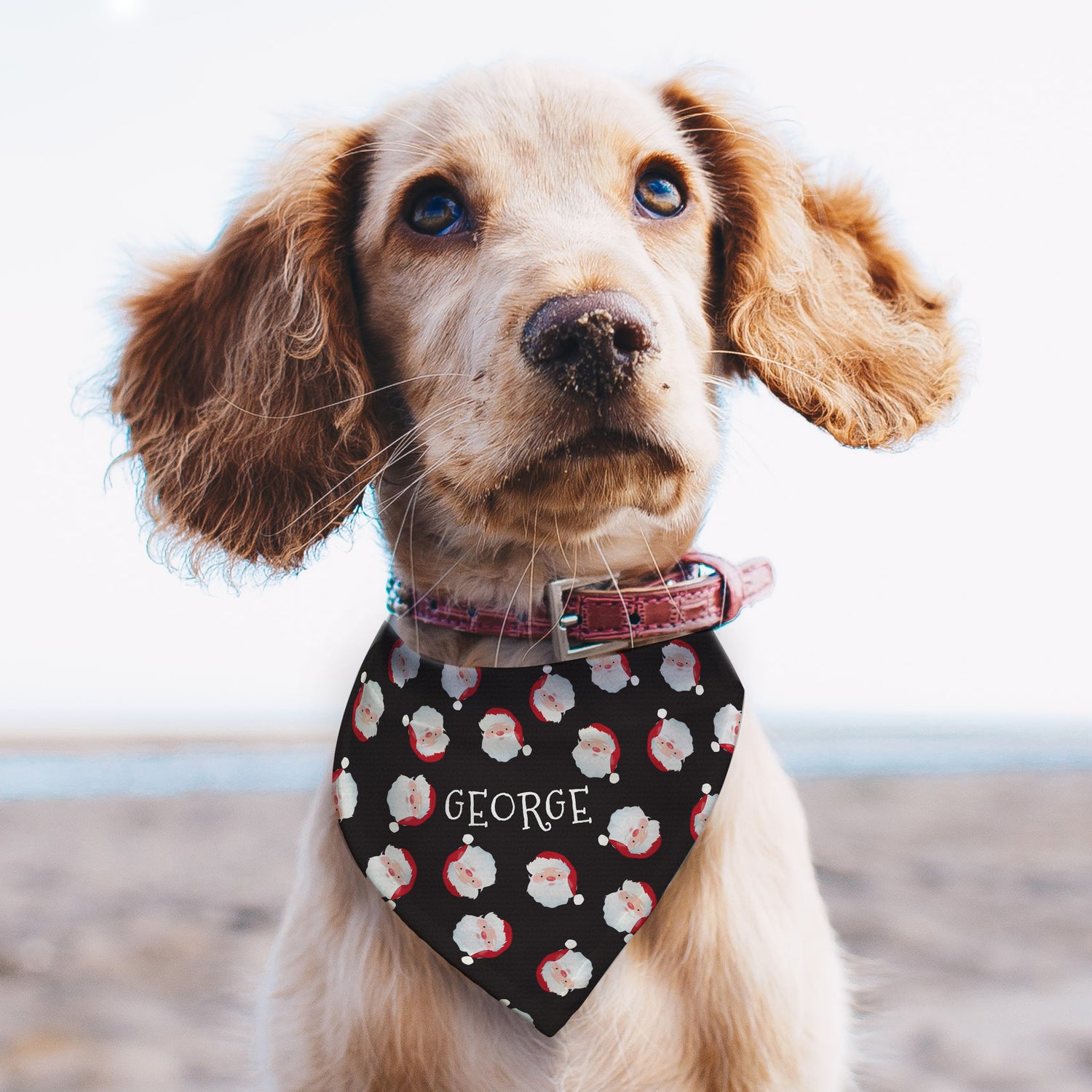 Personalised Santa Black Dog Bandana - gift & personalise