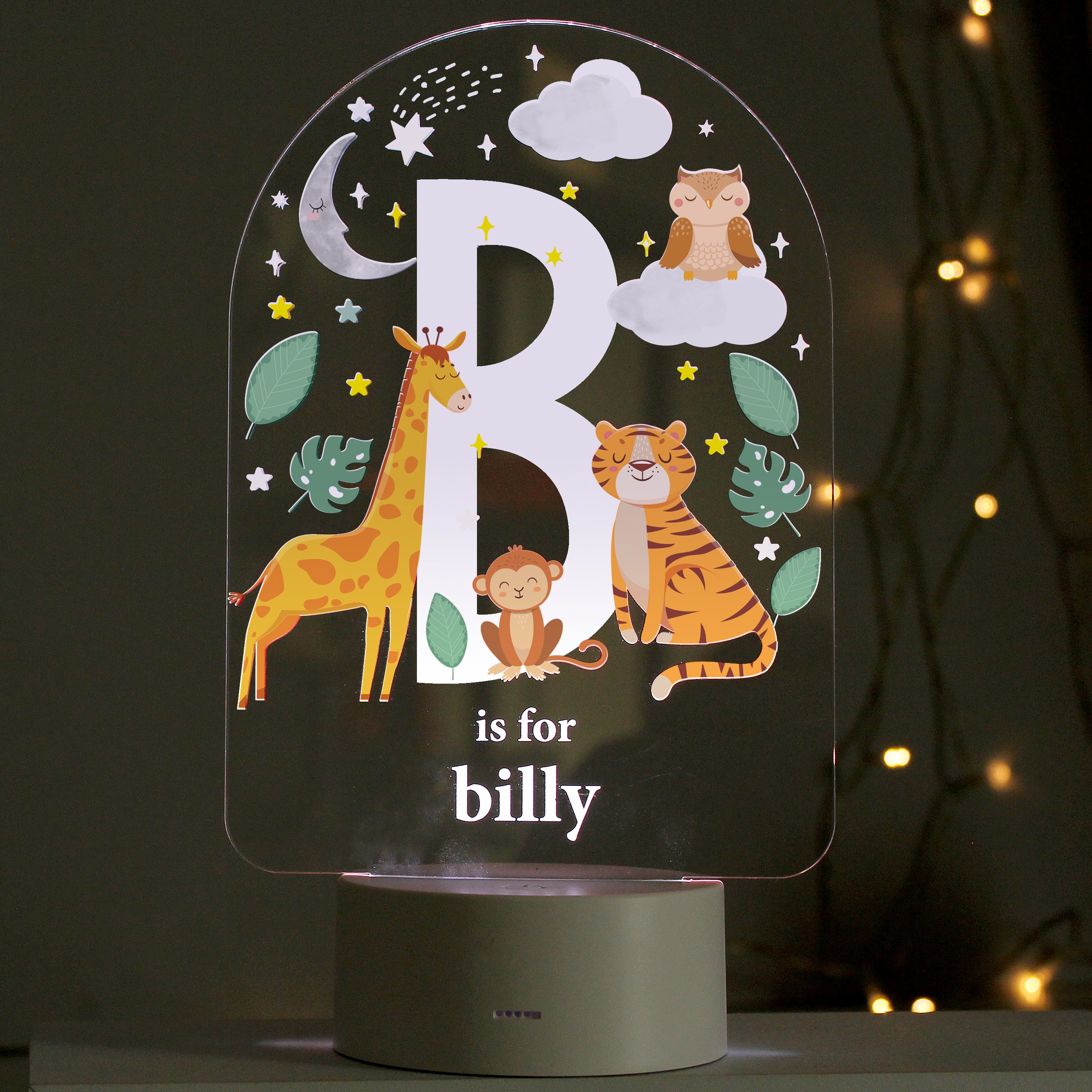 Personalised Animal Alphabet LED Colour Changing Night Light - gift & personalise