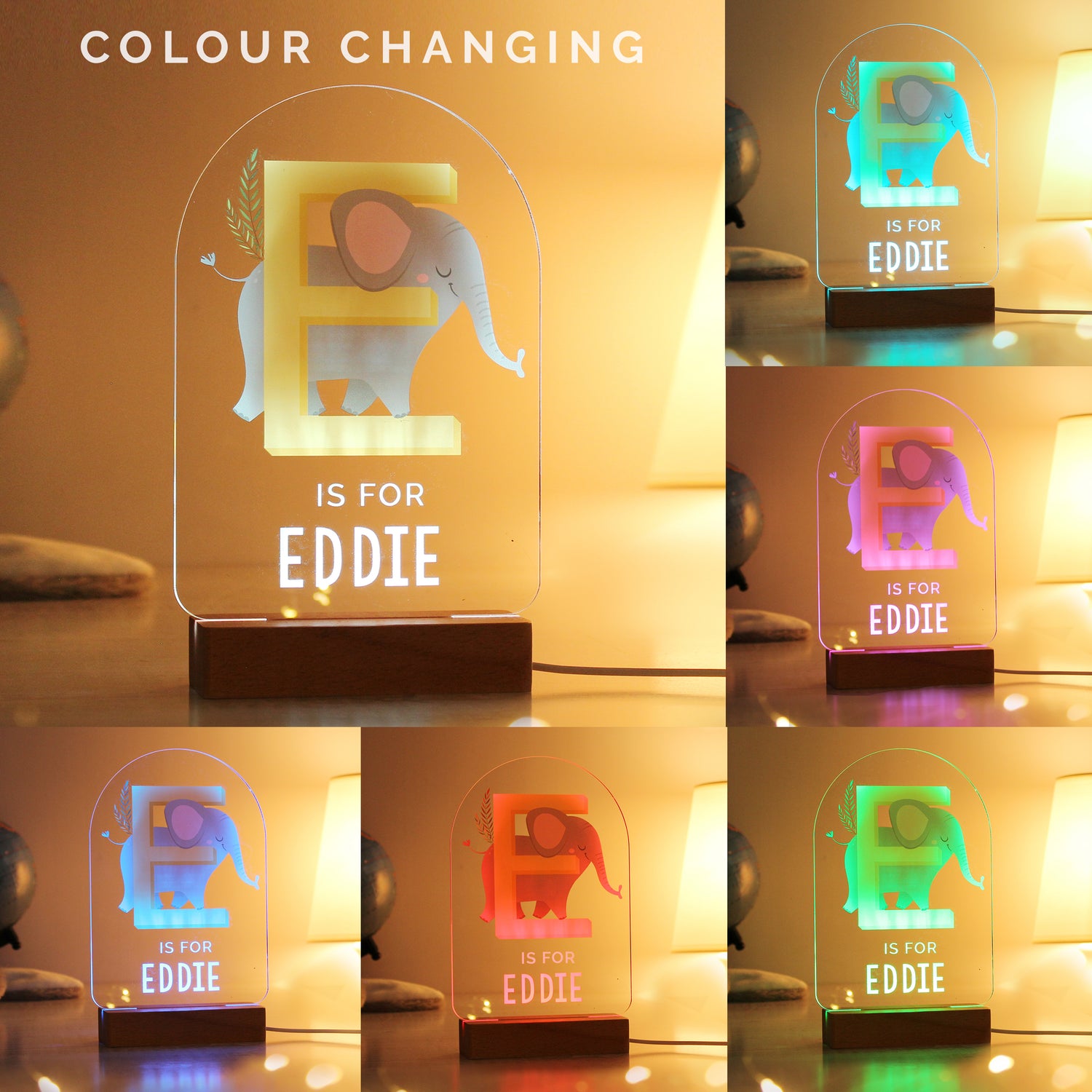 Personalised Animal Alphabet Wooden Based LED Light - gift & personalise