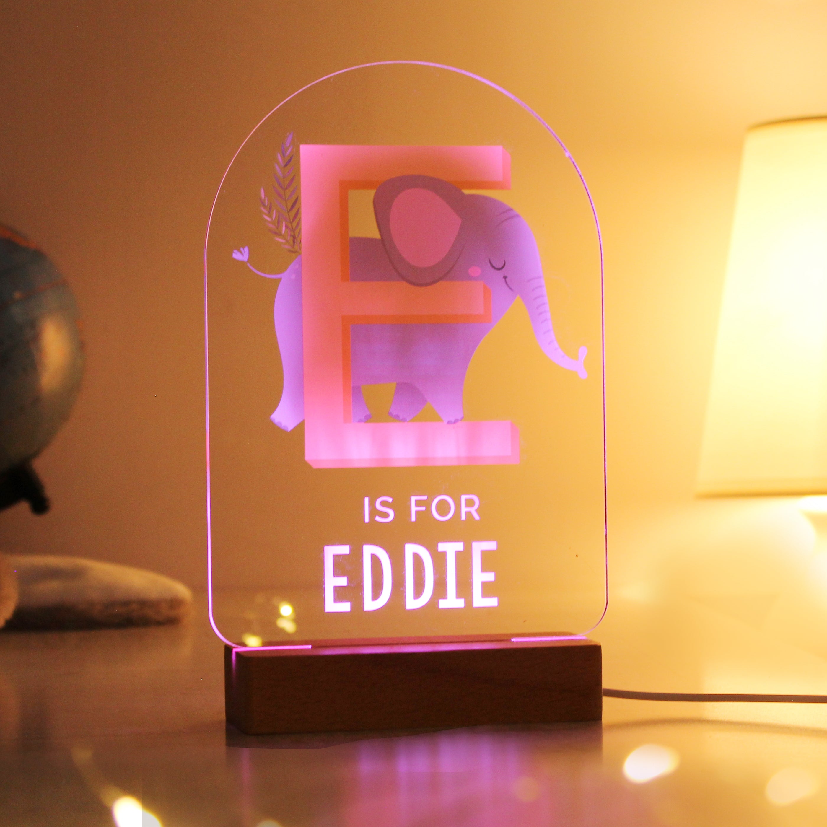 Personalised Animal Alphabet Wooden Based LED Light - gift & personalise